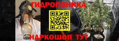 гашик Берёзовский