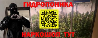 гашик Берёзовский