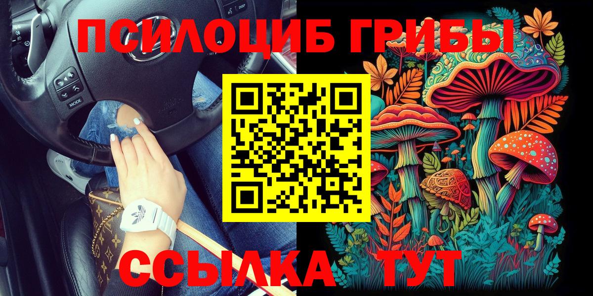 Галлюциногенные грибы Иваново
